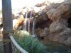 DSCN8547.JPG