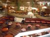 DSCN9423.JPG