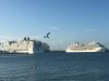 IMG_4571.JPG