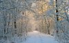 upload_2016-12-20_8-8-9.jpeg
