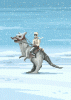 tumblr_ngxyfekLPc1s335jfo1_500.gif