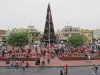 IMG_6985_resize.JPG