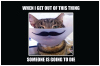 goingtodie.png