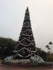 IMG_2822.jpg