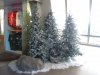 DSCN9035.JPG