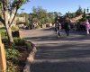 IMG_8585.JPG
