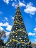 WDW_EPXmastree.jpg