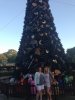 IMG_2635.jpg