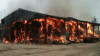 _62700933_cd10019f-924c-434e-bd75-35723842d973.gif