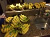 IMG_0586.JPG