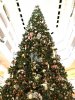 IMG_0745.JPG