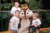 IMG_5393web.jpg