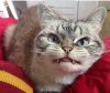 grrr.jpg