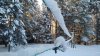 IMG_20170105_0859584.jpg
