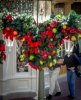 WDW_greenXmas.jpg