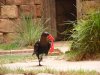 DSCF2814.JPG