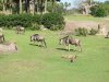 IMG_7390_resize.JPG