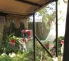 IMG_8612.JPG