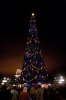 IMG_5487-2web.jpg