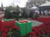 IMG_2784.jpg
