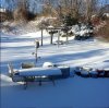 image.jpeg