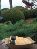 9 japan_sushi roll.JPG