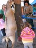 Img_2149.jpg