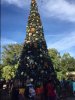 IMG_1317.JPG