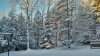 IMG_20170105_0900168.jpg