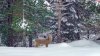 IMG_20170108_1149181.jpg