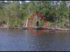 BF lake.jpg