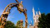 family-magic-tour-00.jpg