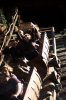 IMG_575643793775-1.jpeg