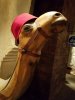 20160908_202325.jpg