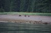Alaska_2016_ (811) (Small).JPG