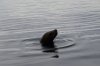 Alaska_2016_ (741) (Small).JPG