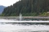 Alaska_2016_ (734) (Small).JPG