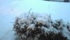 vlcsnap-2016-12-12-17h58m10s206 (Small).jpg