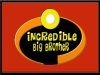 incredibleborderbigbrother.jpg