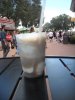 DSCN0378.JPG