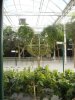 DSCN0398.JPG