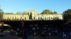 Animal Kingdom.jpg