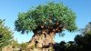 Tree of life.jpg