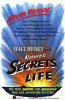 1956 - Secrets_of_Life_poster.jpg