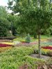 20160909_115217 - Copy.jpg