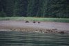 Alaska_2016_ (811) (Small) (Small).JPG
