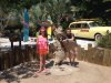 Typhoon Lagoon 1.jpg
