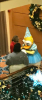 upload_2017-1-31_8-52-42.png
