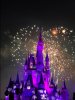 IMG_1839.JPG IMG_1839.JPG
