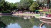 SAM_0583.JPG